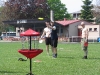 img008.jpeg