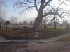 002-DSC00112.JPG